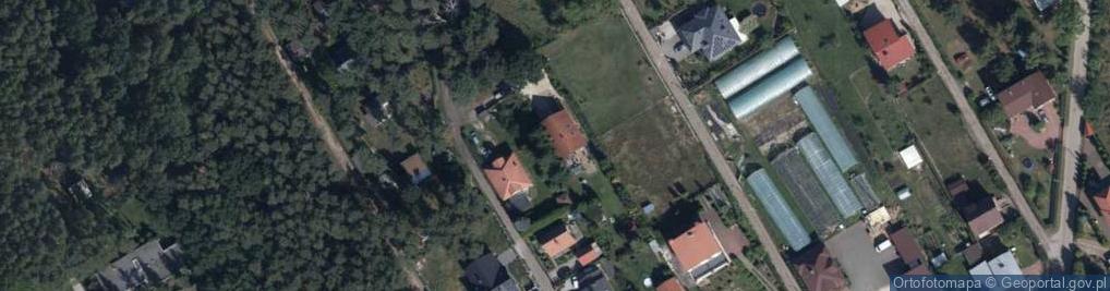 Zdjęcie satelitarne Sosnowa ul.