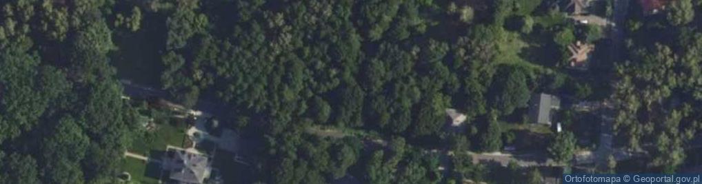 Zdjęcie satelitarne Sokola ul.