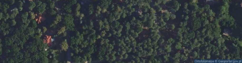 Zdjęcie satelitarne Sosnowa ul.