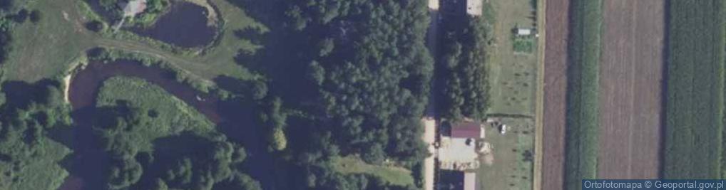 Zdjęcie satelitarne Sosnowa ul.