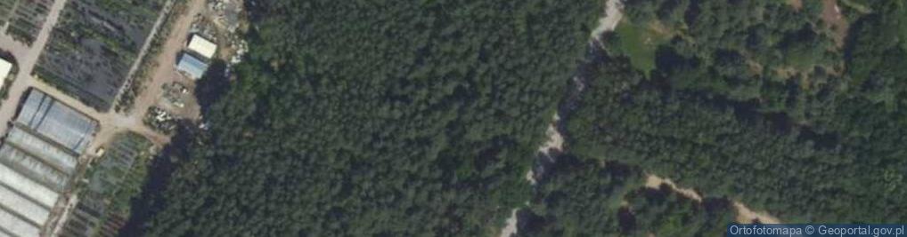 Zdjęcie satelitarne Solidarności ul.