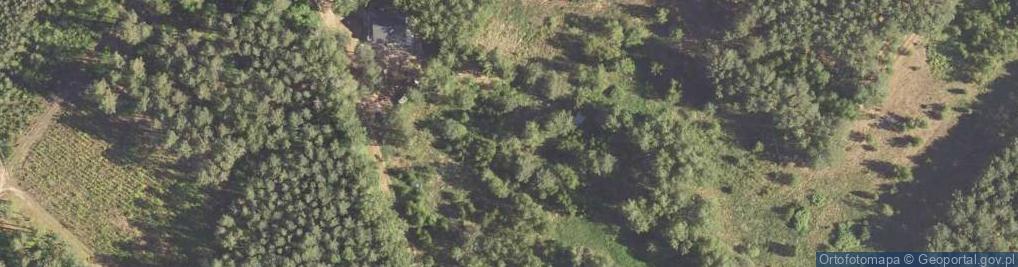 Zdjęcie satelitarne Sosnowa ul.