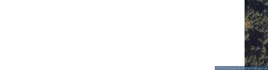 Zdjęcie satelitarne Sosnowa ul.