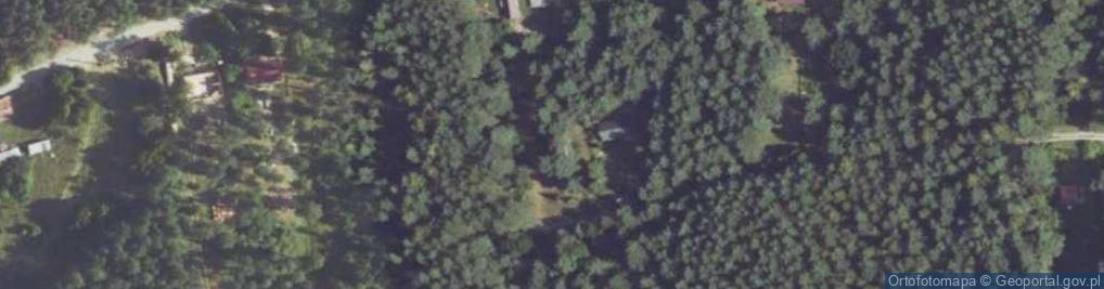 Zdjęcie satelitarne Sosnowa ul.