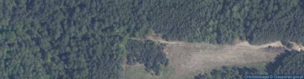 Zdjęcie satelitarne Sobień ul.