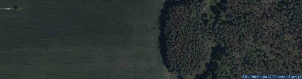 Zdjęcie satelitarne Sosnowa ul.