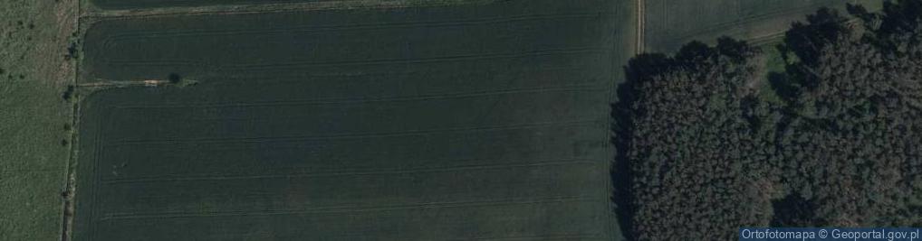 Zdjęcie satelitarne Sosnowa ul.