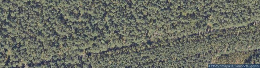 Zdjęcie satelitarne Solankowa ul.