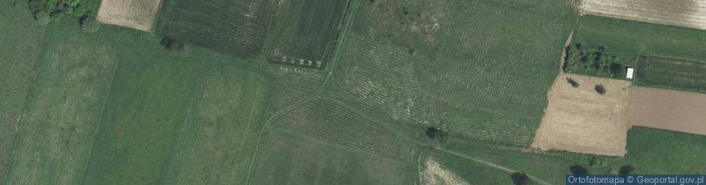 Zdjęcie satelitarne Sosnowa ul.