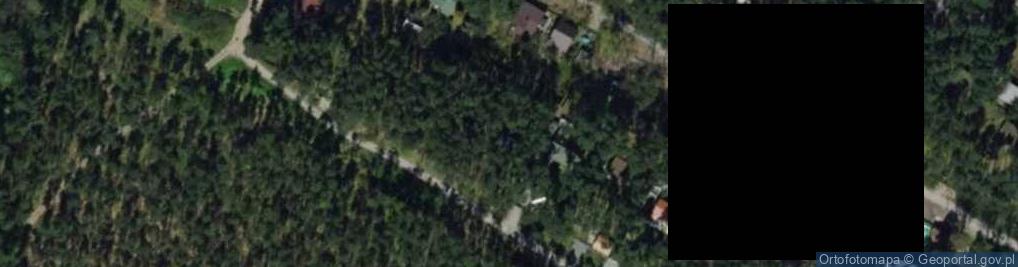 Zdjęcie satelitarne Sosnowa ul.