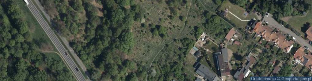 Zdjęcie satelitarne Sołecka ul.