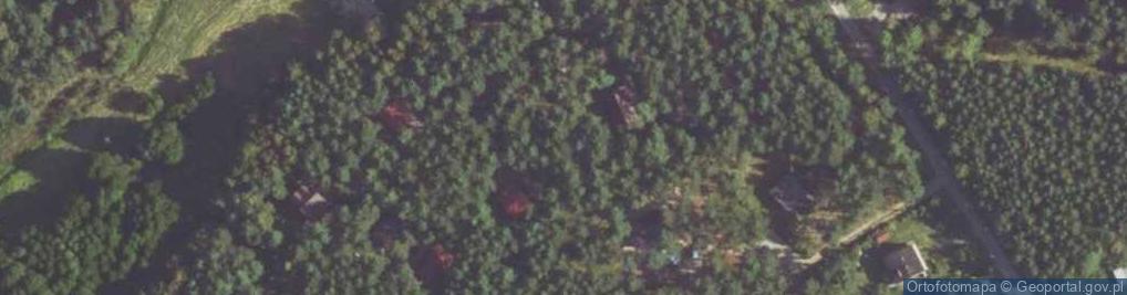 Zdjęcie satelitarne Sosnowa ul.