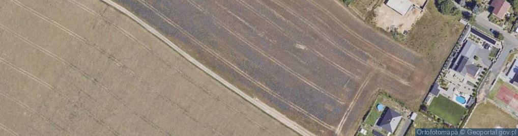 Zdjęcie satelitarne Spacerowa ul.