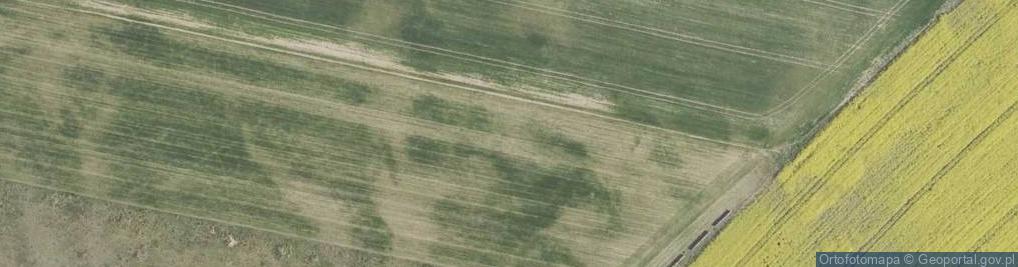 Zdjęcie satelitarne Spacerowa ul.