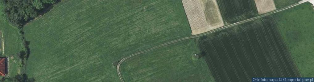 Zdjęcie satelitarne Spacerowa ul.