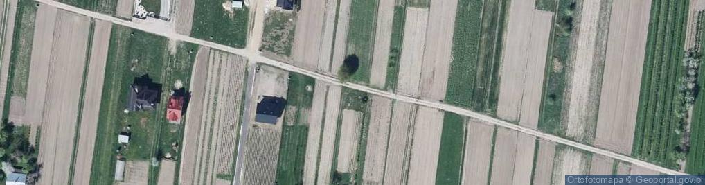 Zdjęcie satelitarne Spacerowa ul.
