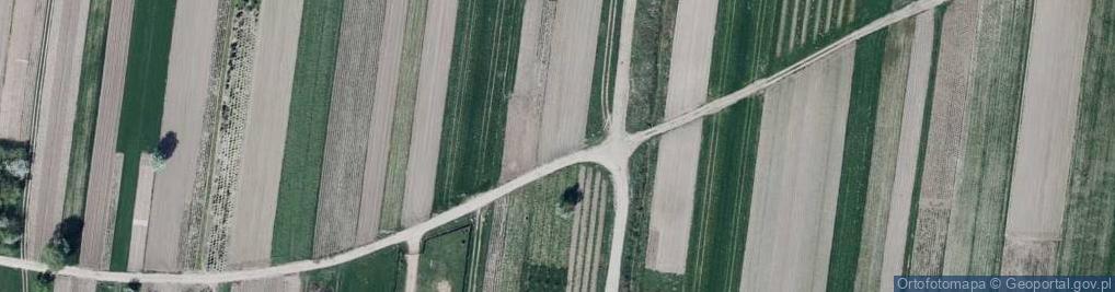 Zdjęcie satelitarne Spacerowa ul.