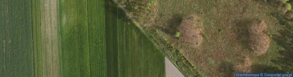 Zdjęcie satelitarne Spokojna ul.