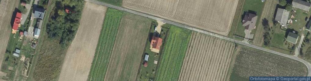 Zdjęcie satelitarne Spiczyn ul.