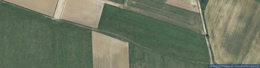 Zdjęcie satelitarne Spacerowa ul.