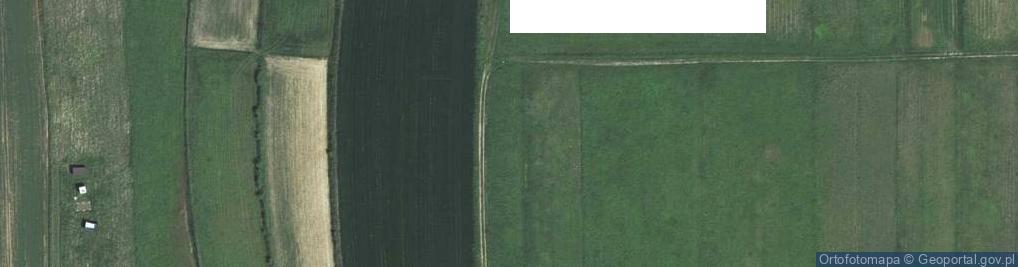 Zdjęcie satelitarne Spacerowa ul.