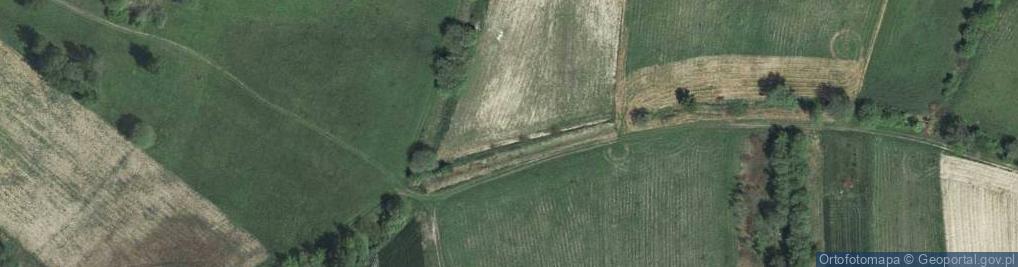 Zdjęcie satelitarne Spacerowa ul.