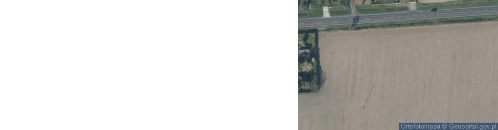 Zdjęcie satelitarne Śremska ul.