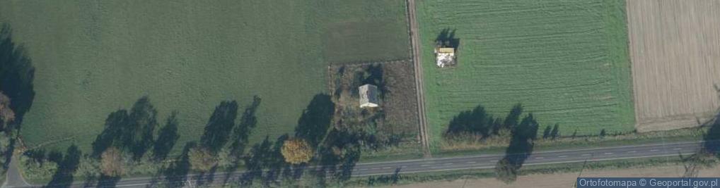 Zdjęcie satelitarne Śremska ul.