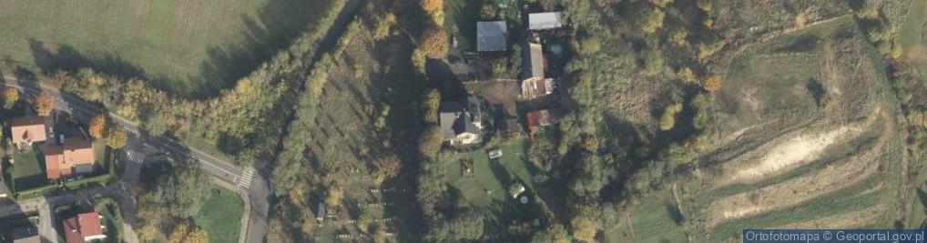 Zdjęcie satelitarne Śremskie Przedmieście ul.