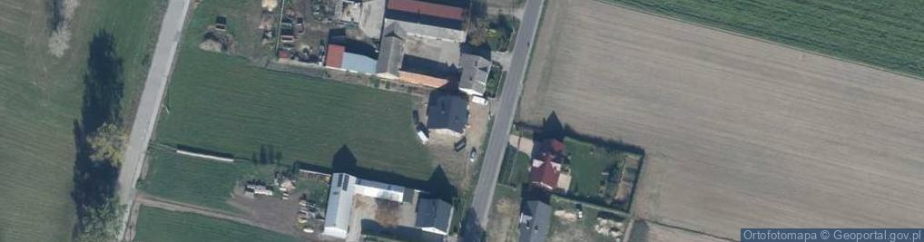 Zdjęcie satelitarne Śremska ul.