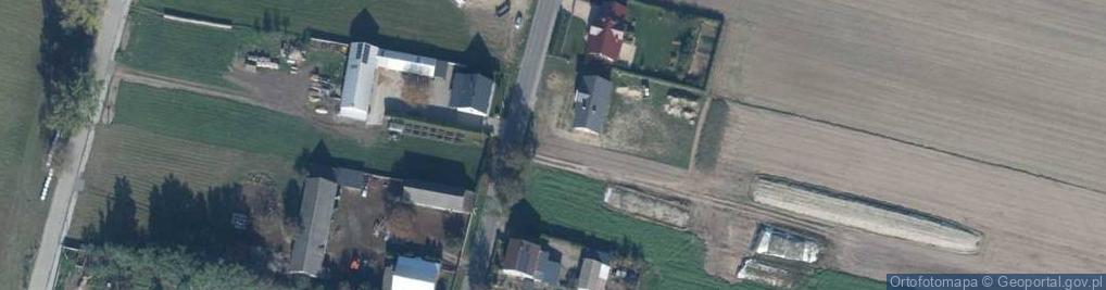 Zdjęcie satelitarne Śremska ul.