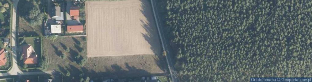 Zdjęcie satelitarne Śremska ul.