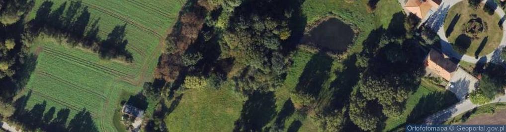 Zdjęcie satelitarne Srebrna Góra ul.