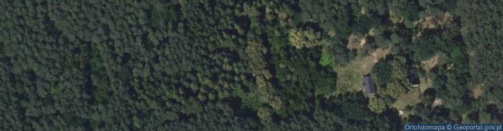 Zdjęcie satelitarne Środoń ul.