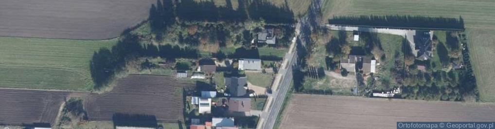 Zdjęcie satelitarne Śremska ul.