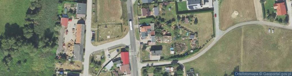 Zdjęcie satelitarne Śremska ul.