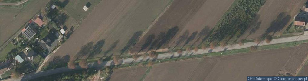 Zdjęcie satelitarne Strzelecka ul.