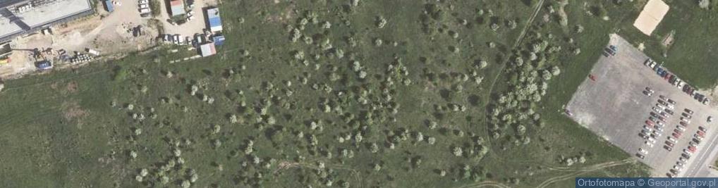 Zdjęcie satelitarne Sternbacha Leona Henryka ul.