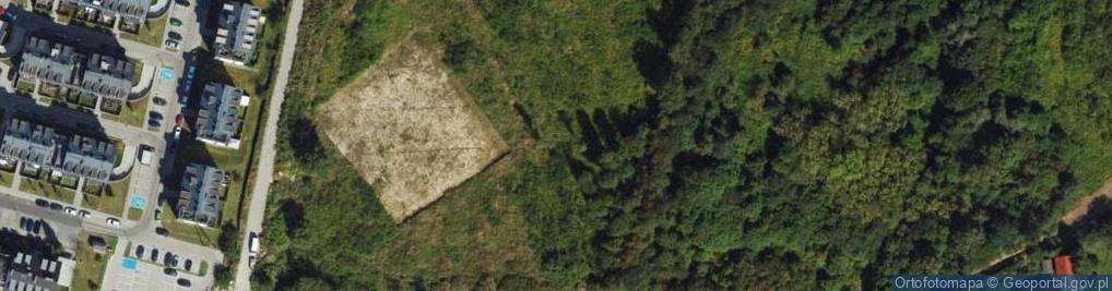 Zdjęcie satelitarne Starego Dębu ul.