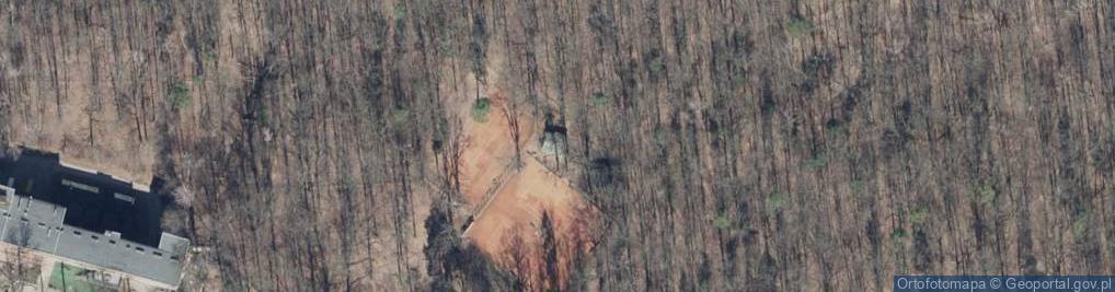 Zdjęcie satelitarne Studencka ul.