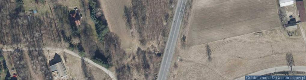 Zdjęcie satelitarne Strykowska ul.