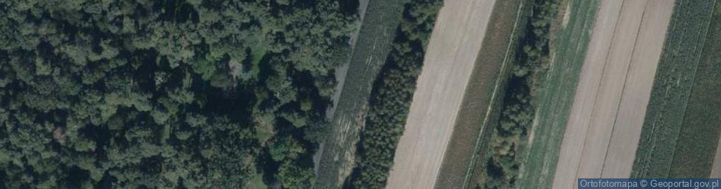 Zdjęcie satelitarne Strzelnicza ul.