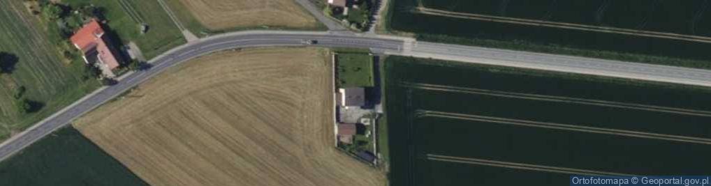 Zdjęcie satelitarne Strzybnego, ks. ul.