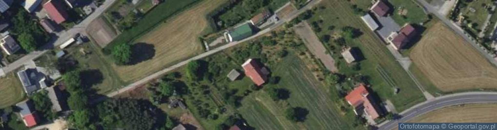 Zdjęcie satelitarne Strzybnego, ks. ul.