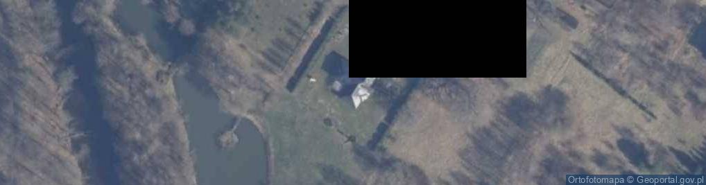 Zdjęcie satelitarne Starowiejska ul.