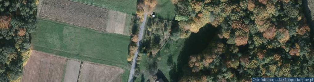 Zdjęcie satelitarne Stroma ul.