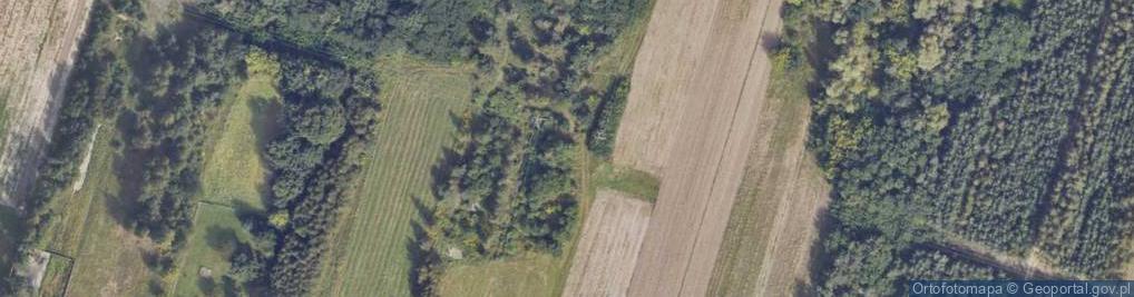 Zdjęcie satelitarne Stara Wola Gołębiowska ul.