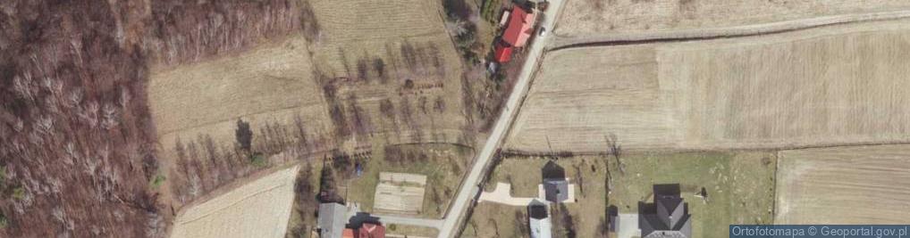 Zdjęcie satelitarne Studzianki ul.