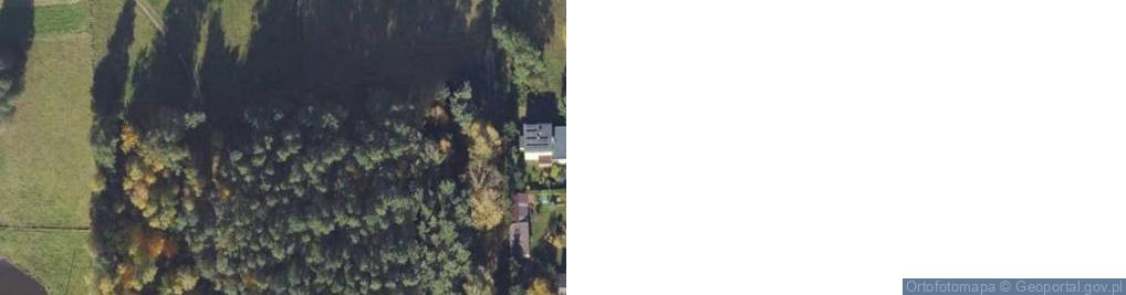 Zdjęcie satelitarne Stara Wiśniewka ul.