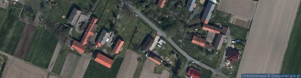 Zdjęcie satelitarne Stare Drzewce ul.